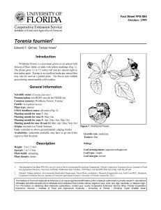 Torenia fournieri Introduction October, 1999 Fact Sheet FPS-584