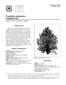 Franklinia alatamaha Franklin-Tree Fact Sheet ST-260 1