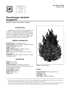 Pseudotsuga menziesii Douglas-fir Fact Sheet ST-526 1
