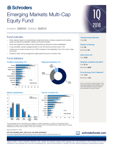 Emerging Markets Multi-Cap Equity Fund Investor: SMENX SMENX