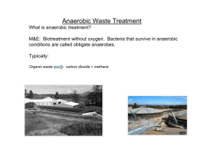 Anaerobic Waste Treatment