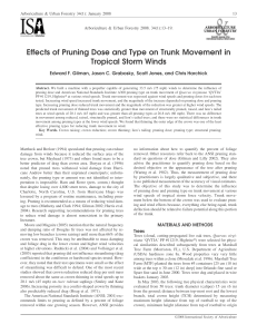 Effects of Pruning Dose and Type on Trunk Movement in