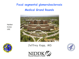 Focal segmental glomerulosclerosis Medical Grand Rounds Jeffrey Kopp, MD Harbor