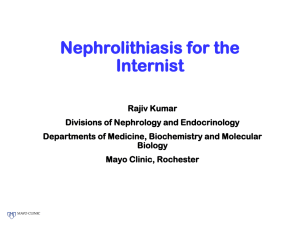 Nephrolithiasis for the Internist