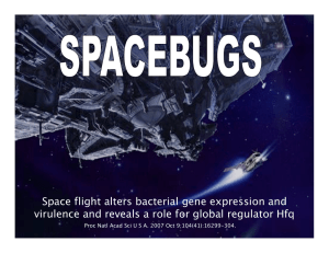 Space flight alters bacterial gene expression and