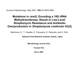 rsmG Methyltransferase, Result in Low-Level Streptomycin Resistance and Antibiotic Streptomyces coelicolor