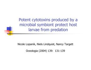 Potent cytotoxins produced by a microbial symbiont protect host larvae from predation