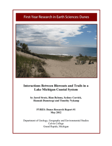 Interactions Between Blowouts and Trails in a Lake Michigan Coastal System