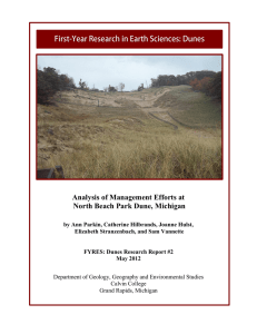 Analysis of Management Efforts at North Beach Park Dune, Michigan