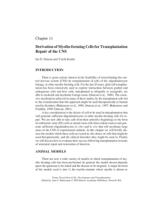 Chapter 11 Derivation of Myelin-forming Cells for Transplantation Repair of the CNS INTRODUCTION