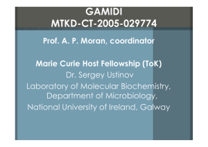 GAMIDI MTKD-CT-2005-029774