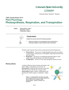 Photosynthesis, Respiration, and Transpiration Plant Physiology:  CMG GardenNotes #141