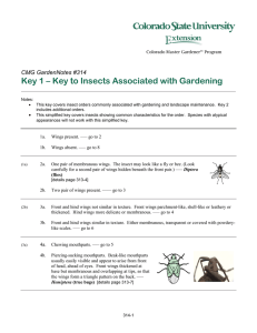 Key 1 – Key to Insects Associated with Gardening