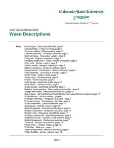 Weed Descriptions CMG GardenNotes #352