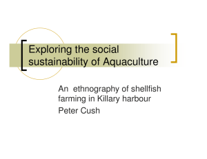 Exploring the social sustainability of Aquaculture An  ethnography of shellfish