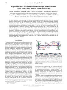 High-Resolution Visualization of Fibrinogen Molecules and Ivan S. Yermolenko, Valeryi K. Lishko,