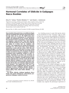 Hormonal Correlates of Siblicide in Gala´pagos Nazca Boobies †