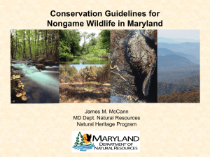 Conservation Guidelines for Nongame Wildlife in Maryland James M. McCann