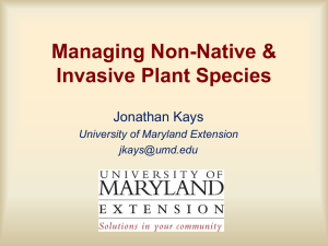 Managing Non-Native Invasive Plant Species