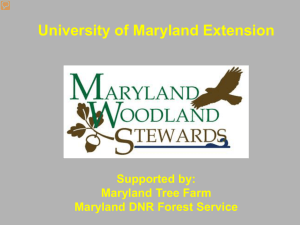 Coverts Title University of Maryland Extension Supported by: Maryland Tree Farm