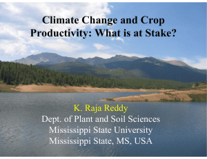 Climate Change and Crop Productivity: What is at Stake? K. Raja Reddy