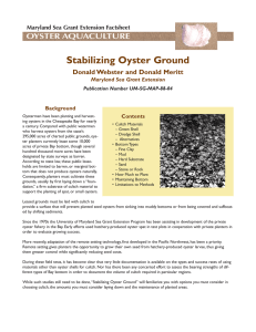 Stabilizing Oyster Ground Donald Webster and Donald Meritt Maryland Sea Grant Extension