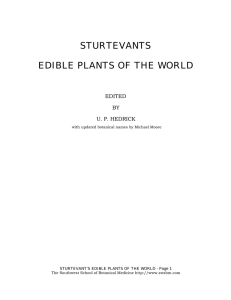 STURTEVANTS EDIBLE PLANTS OF THE WORLD EDITED BY