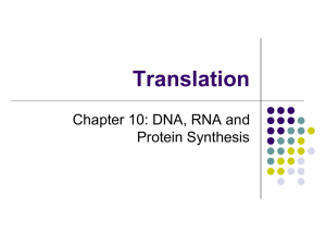 Translation Chapter 10: DNA, RNA and Protein Synthesis