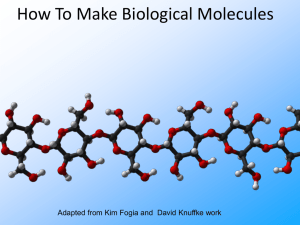 How To Make Biological Molecules