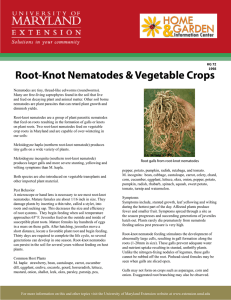 Root-Knot Nematodes &amp; Vegetable Crops