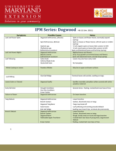 IPM Series: Dogwood  HG 12 (rev. 2011) Symptoms
