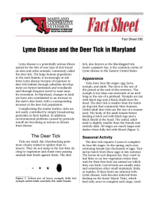 Lyme Disease and the Deer Tick in Maryland Fact Sheet 595