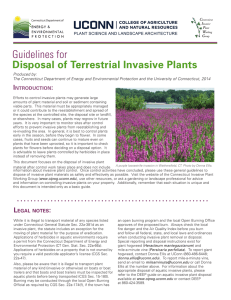 Guidelines for Disposal of Terrestrial Invasive Plants
