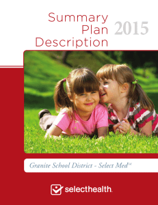 2015 Summary  Plan