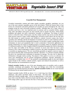 Cucurbit Pest Management