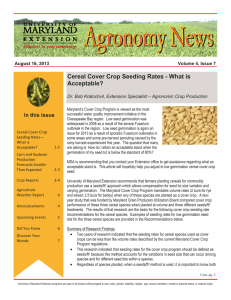 Cereal Cover Crop Seeding Rates - What is Acceptable?  August 16, 2013