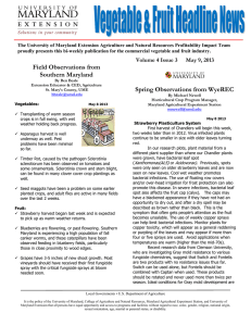 The University of Maryland Extension Agriculture and Natural Resources Profitability... proudly presents this bi-weekly publication for the commercial vegetable and...