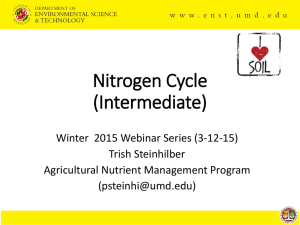 Nitrogen Cycle (Intermediate)