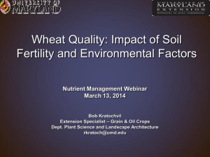 Wheat Quality: Impact of Soil Fertility and Environmental Factors  Nutrient Management Webinar