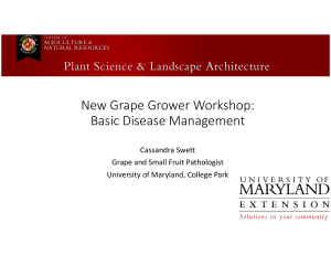 New Grape Grower Workshop: Basic Disease Management Cassandra Swett Grape and Small Fruit Pathologist 