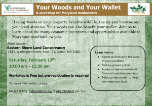 Your Woods and Your Wallet