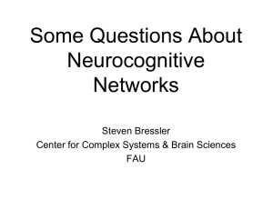 Some Questions About Neurocognitive Networks Steven Bressler