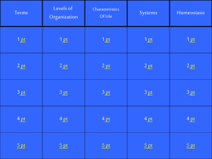 Levels of Terms Systems Homeostasis