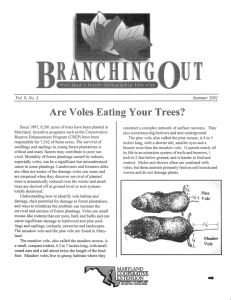 Are Voles Eating Your Trees? Vol. No.3 Summer 2001