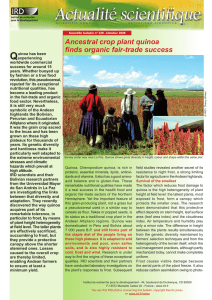 Q Ancestral crop plant quinoa finds organic fair-trade success