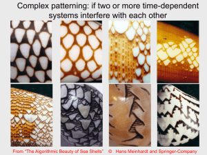 7 Complex patterns.ppt