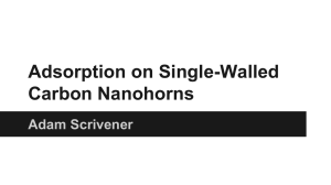 Adsorption on Single-Walled Carbon Nanohorns Adam Scrivener