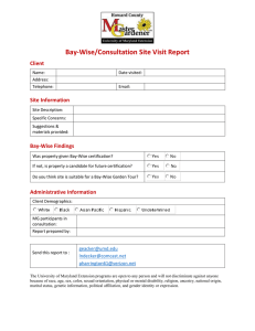  B-W and Consultation Site Report