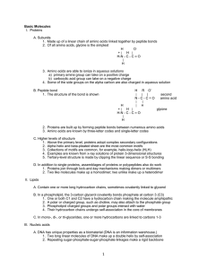 Basic molecules, processes, and structure notes