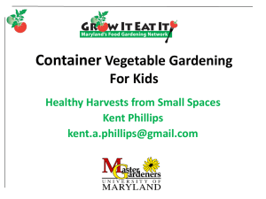 Kids Container Vegetable Gardening